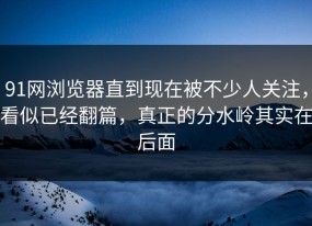 91网浏览器直到现在被不少人关注，看似已经翻篇，真正的分水岭其实在后面