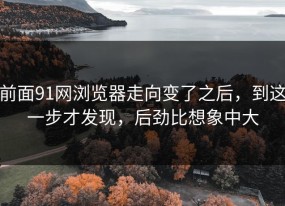 前面91网浏览器走向变了之后，到这一步才发现，后劲比想象中大