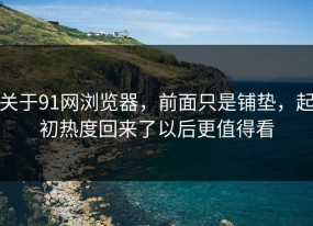 关于91网浏览器，前面只是铺垫，起初热度回来了以后更值得看