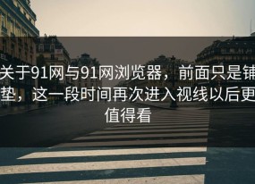 关于91网与91网浏览器，前面只是铺垫，这一段时间再次进入视线以后更值得看