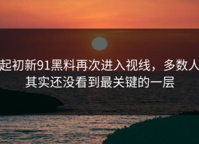 起初新91黑料再次进入视线，多数人其实还没看到最关键的一层