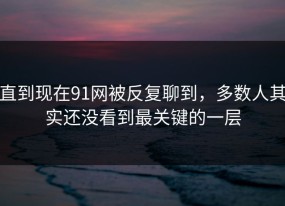 直到现在91网被反复聊到，多数人其实还没看到最关键的一层