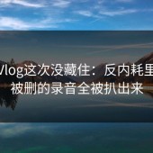 糖心Vlog这次没藏住：反内耗里一段被删的录音全被扒出来