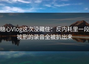 糖心Vlog这次没藏住：反内耗里一段被删的录音全被扒出来