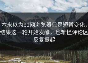 本来以为91网浏览器只是短暂变化，结果这一轮开始发酵，也难怪评论区反复提起