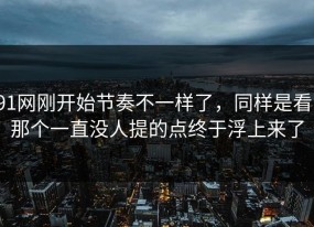 91网刚开始节奏不一样了，同样是看，那个一直没人提的点终于浮上来了