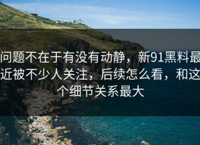 问题不在于有没有动静，新91黑料最近被不少人关注，后续怎么看，和这个细节关系最大