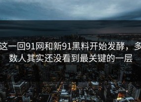 这一回91网和新91黑料开始发酵，多数人其实还没看到最关键的一层