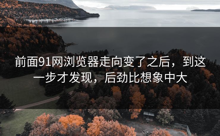 前面91网浏览器走向变了之后，到这一步才发现，后劲比想象中大