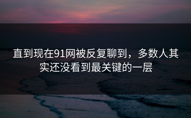 直到现在91网被反复聊到，多数人其实还没看到最关键的一层