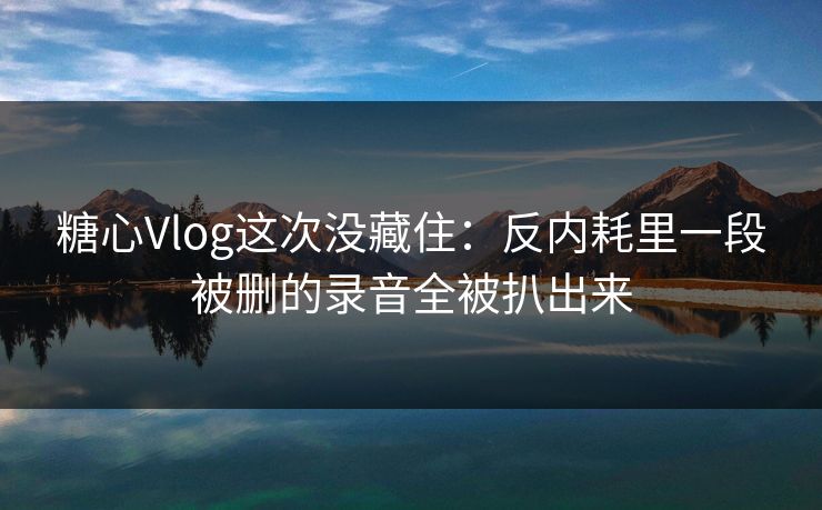 糖心Vlog这次没藏住：反内耗里一段被删的录音全被扒出来