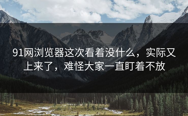 91网浏览器这次看着没什么，实际又上来了，难怪大家一直盯着不放