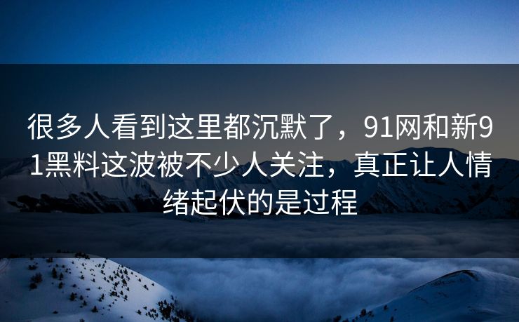 很多人看到这里都沉默了，91网和新91黑料这波被不少人关注，真正让人情绪起伏的是过程