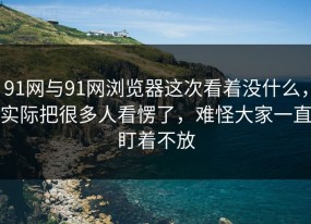 91网与91网浏览器这次看着没什么，实际把很多人看愣了，难怪大家一直盯着不放